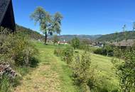 Traumgrundstück in St. Filippen bei Pischeldorf
