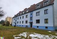 BASTLERHIT! RUSSENGASSE 8!