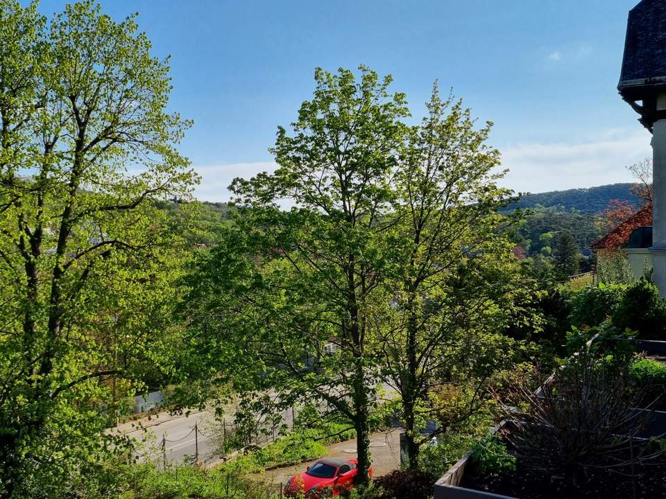 Beziehe bald den Wienerwald!