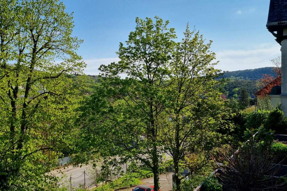 Beziehe bald den Wienerwald!, Wohnung-kauf, 350.000,€, 2371 Mödling