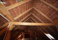 Saniertes Landhaus mit großem Gartengrundstück Nähe Horn