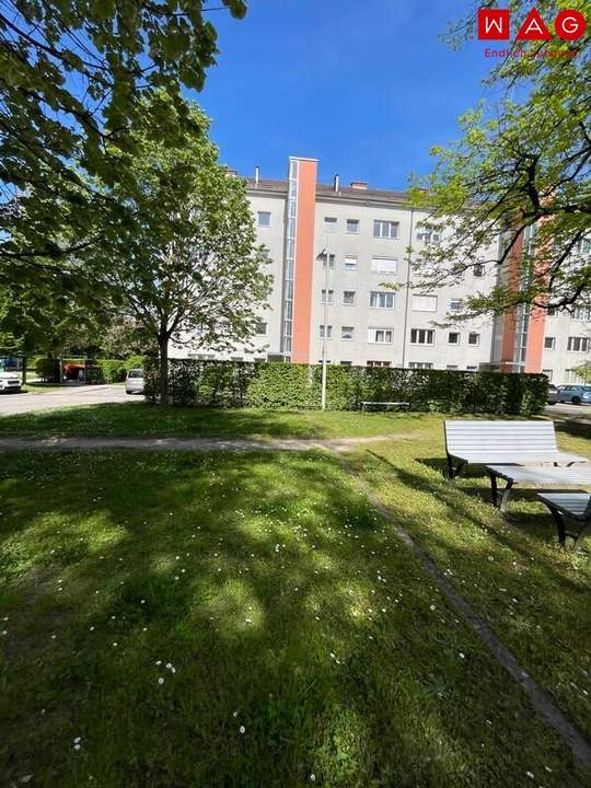 Singles aufgepasst! Traumhaftes Wohnen am beliebten Bindermichl! Von Grünflächen umgeben & gleichzeitig nah am Zentrum! Gute Infrastruktur und gute Öffisanbindung