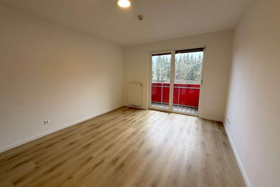 Moderne Singlewohnung mit Balkon in der Nähe von Werk VI, Wohnung-miete, 336,00,€, 8605 Bruck-Mürzzuschlag