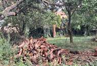 ,,Bauland und großer Obstgarten - Liegenschaft in Hornstein nahe Neufeldersee,,