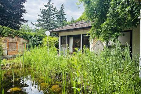 Einfamilienhaus in ruhiger Villenlage, Haus-kauf, 795.000,€, 2371 Mödling