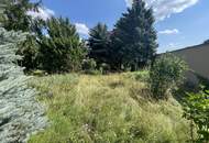 Baugrund mit Altbaumbestand ohne Bauzwang zu verkaufen