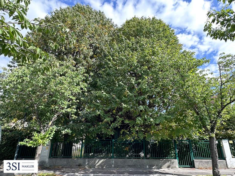 Investition in Zukunft, Familie und Lebensqualität - Ihr neues Zuhause