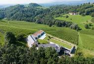 SÜDSTEIERMARK: Stilvolles Apartment mit Weinbergblick - ATTRAKTIVES INVESTMENTOBJEKT