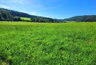 Sonnenlage am Waldrand, Schöcklblick, aufgeschlossen & frei von Servituten (1 in Verhandlung/1 frei)