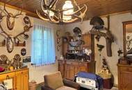 Einfamilienhaus mit großem Grundstück, Doppelgarage und Carport – sonnige Ruhelage in Frohnleiten