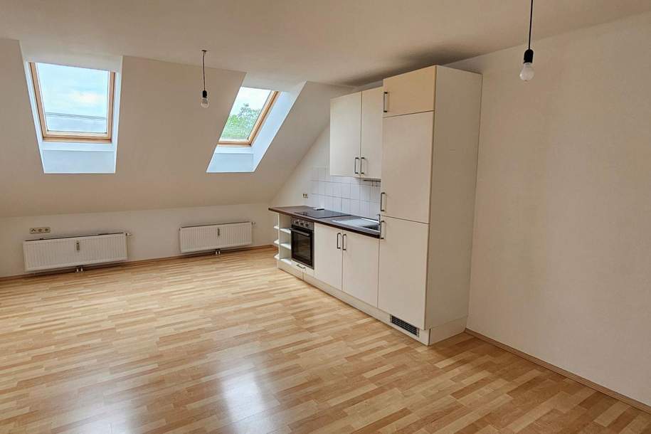 Günstige Dachgeschosswohnung im Ennser Bahnhofsgebiet, Wohnung-miete, 630,00,€, 4470 Linz-Land