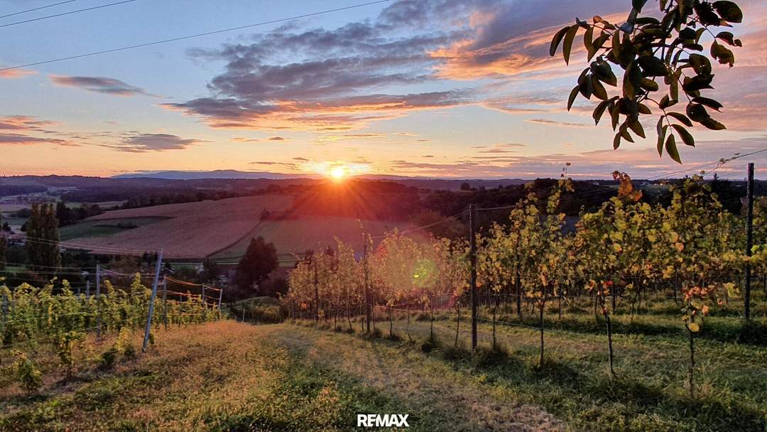IN SLOWENIEN! Winzerhaus mit Weingarten und Blick bis zum Horizont!