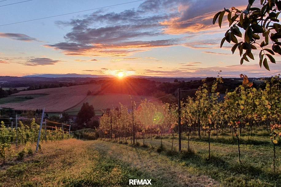 IN SLOWENIEN! Winzerhaus mit Weingarten und Blick bis zum Horizont!, Haus-kauf, 129.000,€, 8490 Südoststeiermark