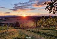 IN SLOWENIEN! Winzerhaus mit Weingarten und Blick bis zum Horizont!