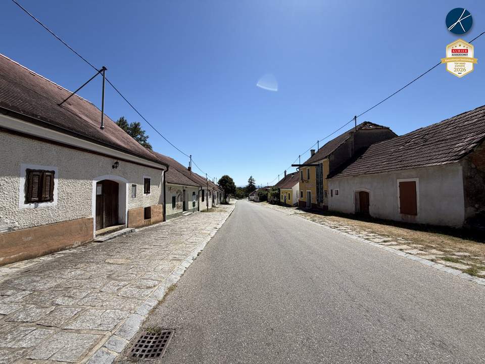 Weinkeller mit Weingarten in Feuersbrunner Kellergasse
