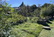 Grünblick in Pettenbach