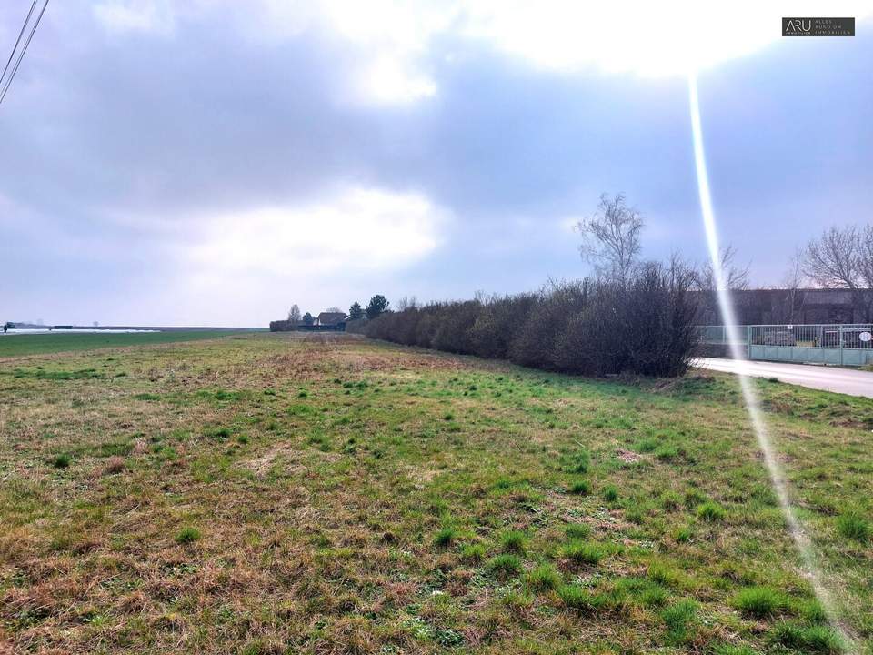 **Landwirtschaftliche Fläche direkt angrenzend am Wohngebiet**