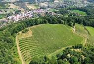 IHRE EIGENEN CHALETS! TRAUMHAFTES GRUNDSTÜCK AN DER SÜDSTEIRISCHEN WEINSTRASSE! Ein Ausblick der Ihnen die Sprache verschlagen wird - im schönsten Teil der grünen Steiermark!