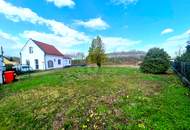 GRÜNBLICK MIT POTENTIAL!