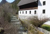 Büro, Seminar, Wohnen, in Wunderschöner Landschaft!