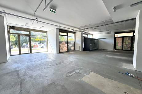 Leo am Teich - Wohnen am Badeteich Hirschstetten, Gewerbeobjekt-miete, 5.481,61,€, 1220 Wien 22., Donaustadt