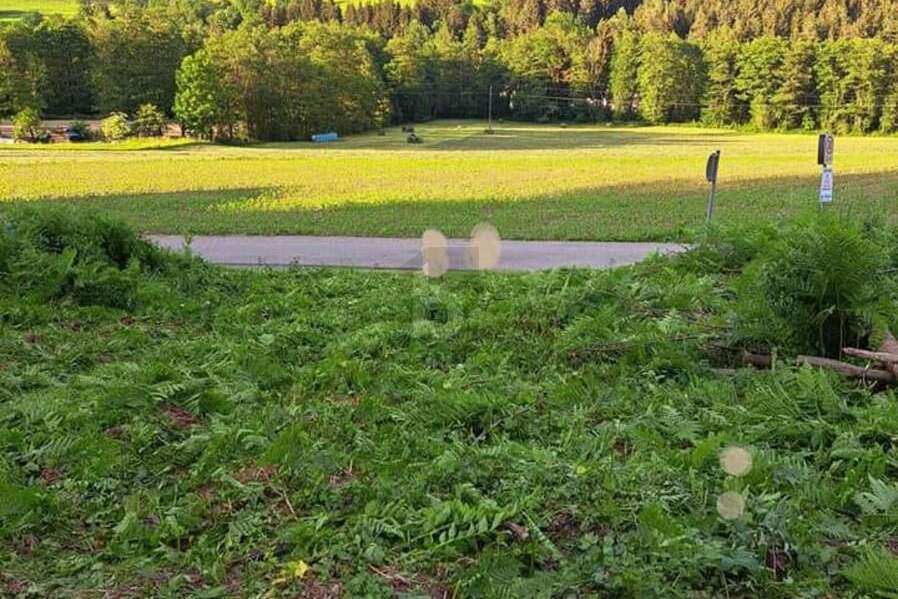SCHNÄPPCHEN - IDEAL FÜR JUNGE FAMILIEN, Grund und Boden-kauf, 59.000,€, 9562 Feldkirchen
