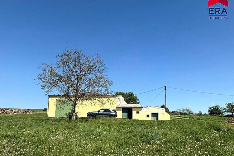 PREISREDUZIERUNG! Schrattenberg - Verzaubernde Weinkeller mit atemberaubender Fernsicht und zusätzlichem Grundstück, Haus-kauf, 59.000,€, 2172 Mistelbach
