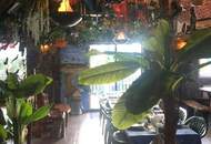 "Die African Queen auf der Donau deine Chance auf Kult Gastro mit Traumlage"