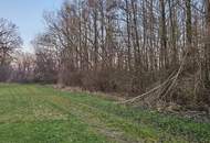 Überwiegend landwirtschaftlicher Grund mit Teilflächen in unterschiedlicher Widmung in der Ennser Kronau