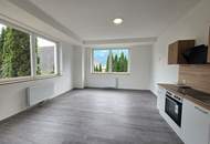 Schöne und neu renovierte Wohnung mit riesiger 115m² Terrasse und Parkplatz in Spittal