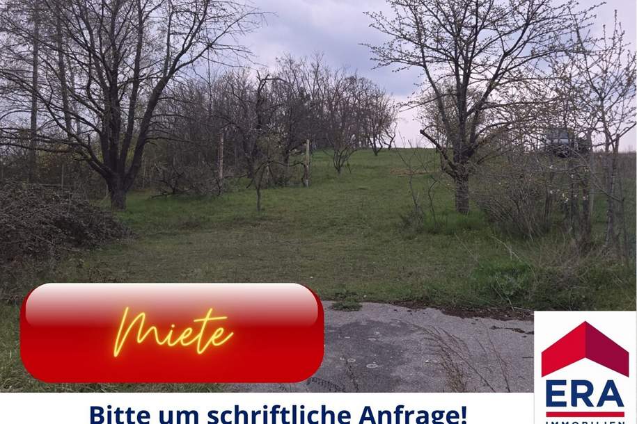 Grundstück zur Miete in Mistelbach - Gartenparadies mit Altbaumbestand, Grund und Boden-miete, 2130 Mistelbach