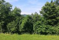 Sonniges Baugrundstück mit Aussicht im Naturpark Pöllauer Tal - nahe Hartberg