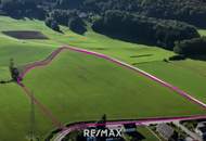 Landwirtschaftsgrund neben Siedlungsgebiet! Derzeit biobewirtschaftet! € 27,-/m²