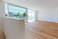 Exclusive Residence at the Mondsee - Swimming Area, Terraces & Garden included