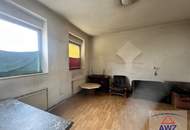 Haushälfte mit einer Wohnung für geschickte Heimwerker und einen schönen Garten in Langenzersdorf!