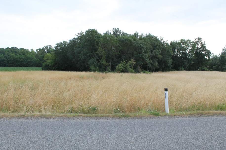 "Landwirte aufgepasst!", Gewerbeobjekt-kauf, 2011 Korneuburg