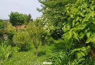 Einfamilienhaus mit Nebengebäuden und Garten