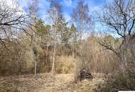 Traumgrund neben dem Wald mit sanierungsbedürftigem Althausbestand