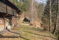 Zwei sanierungsbedürftige Häuser in absoluter Ruhe/Alleinlage