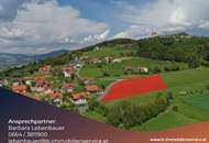 Wohnen am Pöllauberg! Bauplätze in bester Lage mit Aussicht und Lebensqualität!