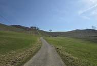 Grundstück mit Nebengebäude und Altbestand in Fötschach