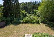 Rarität // Südhang // Bach // Biotop // absolute Ruhelage an der Waldgrenze