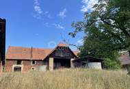 Historisches Anwesen mit rund 8.170 m² Bauland (Dorfgebiet) * Raum für Wohnen, Geschichte und neue Ideen