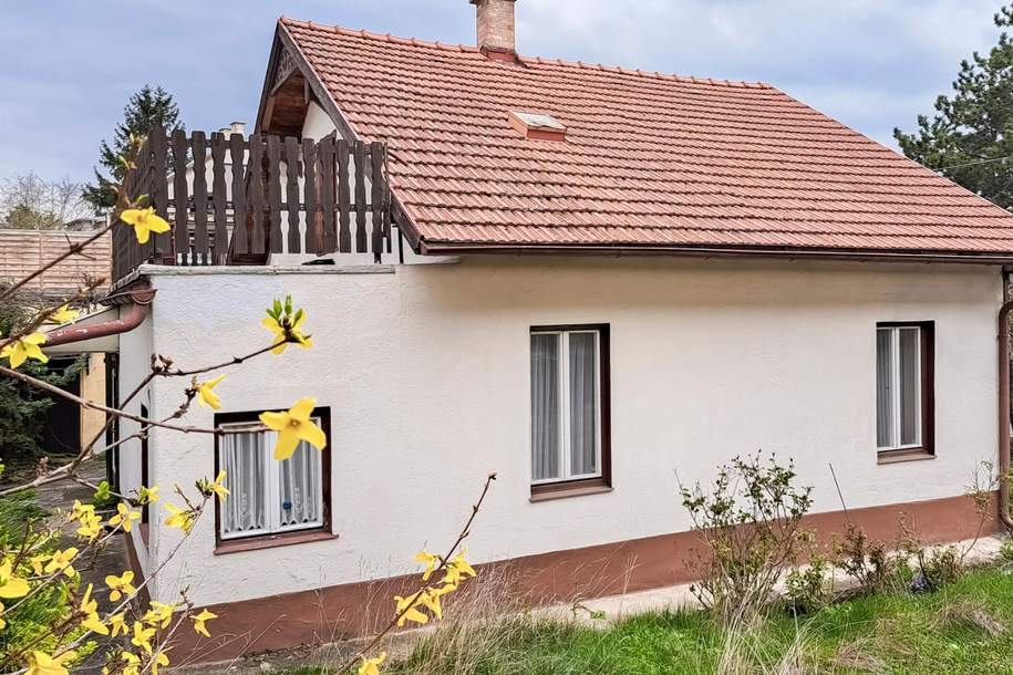RARITÄT in Perchtoldsdorf - 438 m² Baugrundstück mit Altbestand, Grund und Boden-kauf, 589.000,€, 2380 Mödling