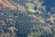 ALLEINLAGE - INTAKTE NATUR - HERRLICHE AUSSICHT - IHR TRAUM? GERNE BAUER?