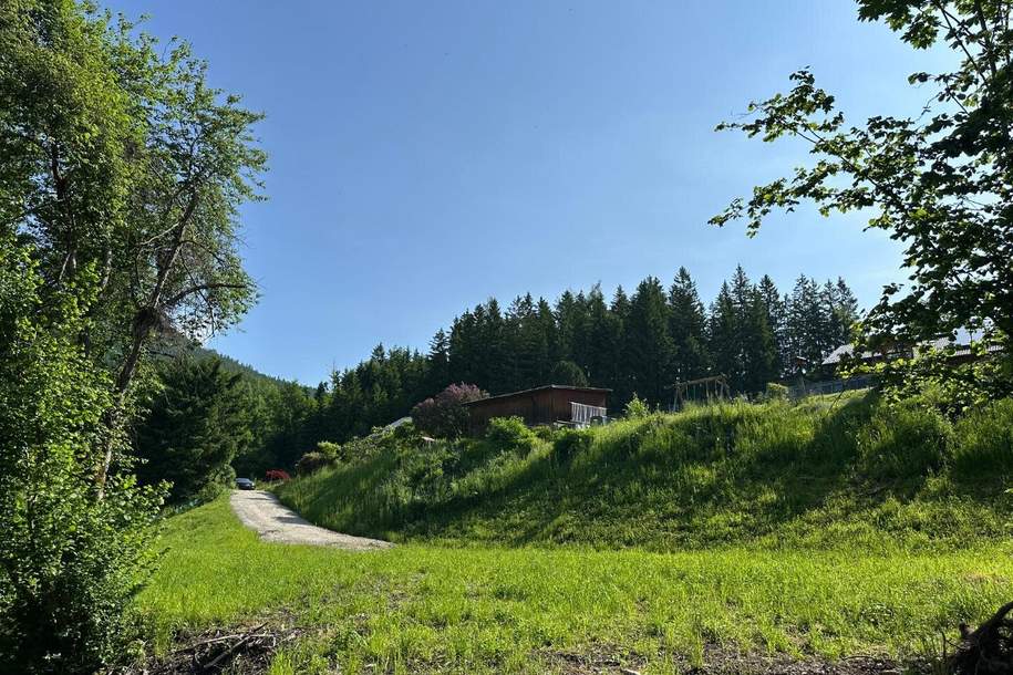 ***Baugrundstück in idyllischer Lage mit Bachlauf (134/5) – Ihr Traumhaus wartet auf Sie!***, Grund und Boden-kauf, 54.500,€, 8625 Bruck-Mürzzuschlag