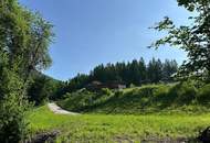 ***Baugrundstück in idyllischer Lage mit Bachlauf (134/5) – Ihr Traumhaus wartet auf Sie!***