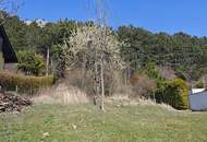 Baugrundstück mit 1.013 m² | Aufgeschlossen | Ruhelage mit Ausblick