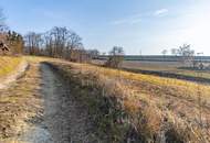 LAND UND WALDFLÄCHEN SOWIE KELLER, STADL UND ALTBESTAND IN UNTERTHERN!