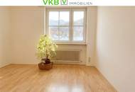 GARCONNIERE - ALS SINGLE-WOHNUNG ODER BÜRO NUTZBAR